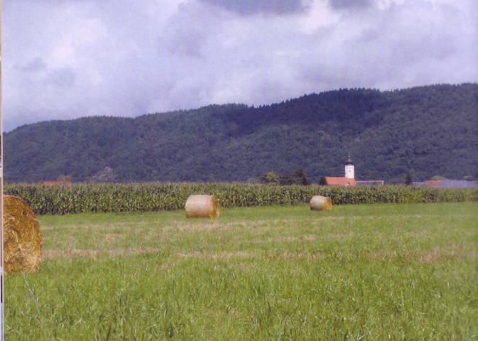 Blick auf Friesheim