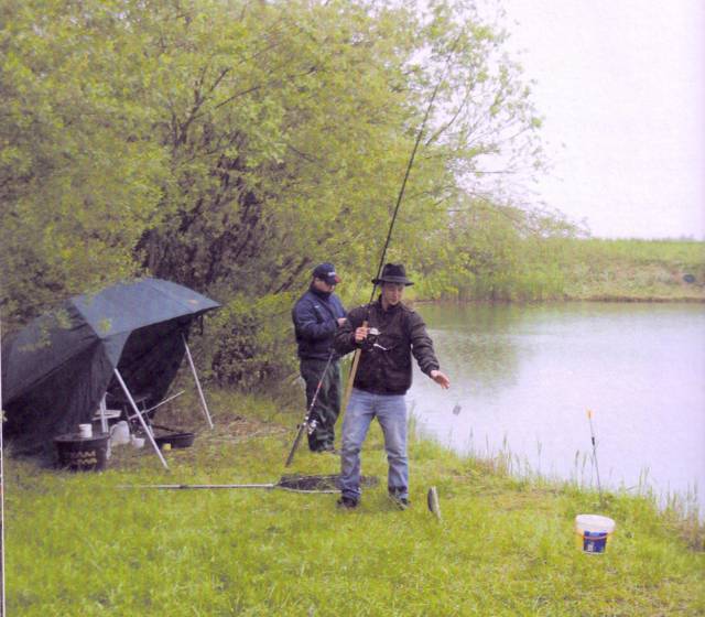Donaufischer